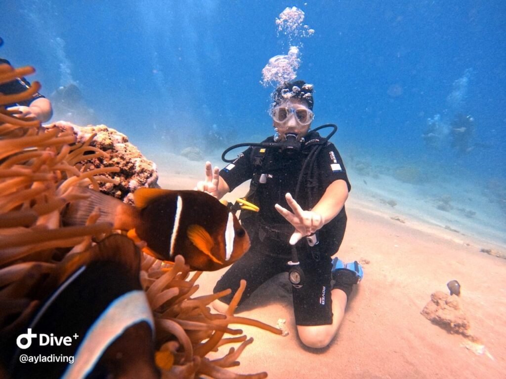 Discover Scuba Dive from Shore