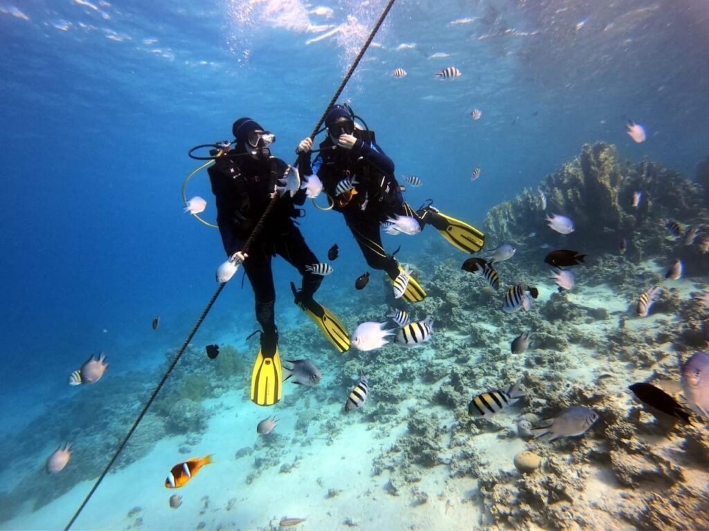 PADI dive course in Aqaba